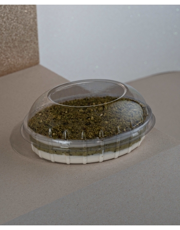 Embalagem para Colomba 1L (G-34-P) - GALVANOTEK